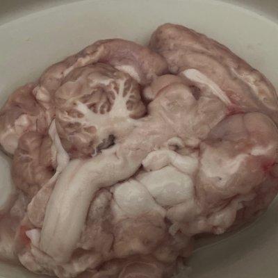 猪脑子炖天麻的做法_天麻炖猪脑怎么炖好吃-3