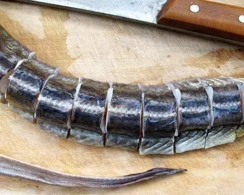 海鳗鱼怎么做好吃又简单_红烧河鳗正宗的做法-1