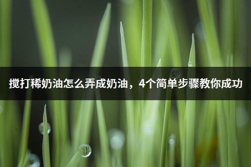 搅打稀奶油怎么弄成奶油，4个简单步骤教你成功-1