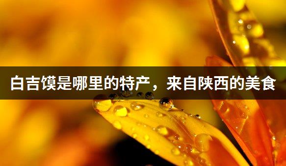 白吉馍是哪里的特产，来自陕西的美食-1