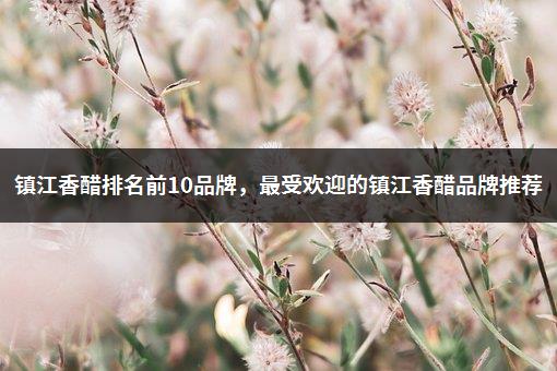 镇江香醋排名前10品牌，最受欢迎的镇江香醋品牌推荐-1
