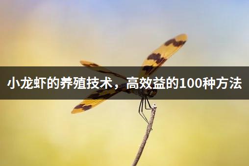 小龙虾的养殖技术，高效益的100种方法-1