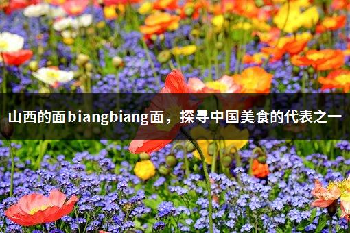 山西的面biangbiang面，探寻中国美食的代表之一-1