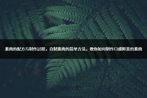 素肉的配方与制作过程，自制素肉的简单方法，教你如何制作口感鲜美的素肉-1