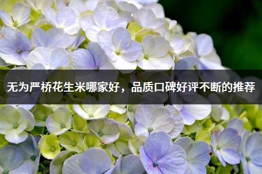 无为严桥花生米哪家好，品质口碑好评不断的推荐-1