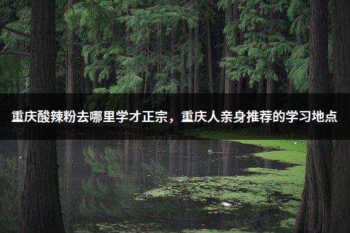 重庆酸辣粉去哪里学才正宗，重庆人亲身推荐的学习地点-1