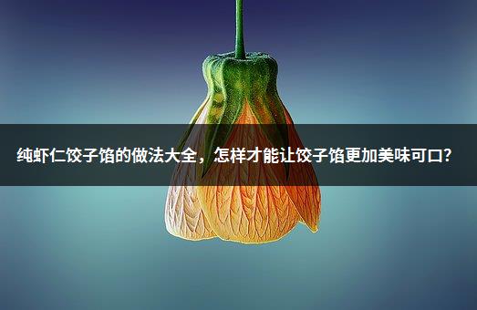 纯虾仁饺子馅的做法大全，怎样才能让饺子馅更加美味可口？-1