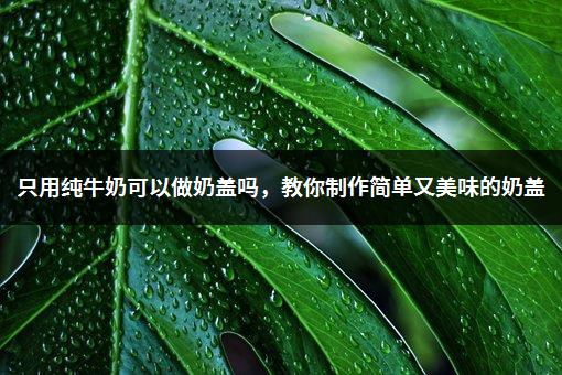 只用纯牛奶可以做奶盖吗，教你制作简单又美味的奶盖-1