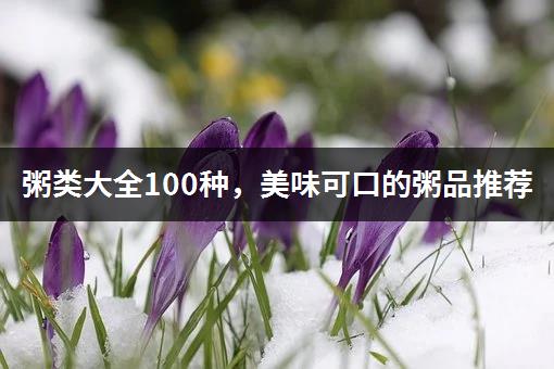 粥类大全100种，美味可口的粥品推荐-1