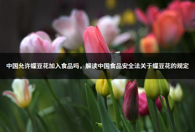 中国允许蝶豆花加入食品吗，解读中国食品安全法关于蝶豆花的规定-1